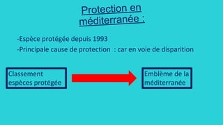 Protection en
méditerranée :
 
