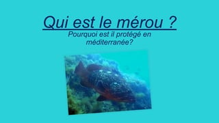 L’analyse physico-chimique
des déchets
 