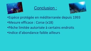 PARTIE II : Ecocitoyenneté au Lycée
 