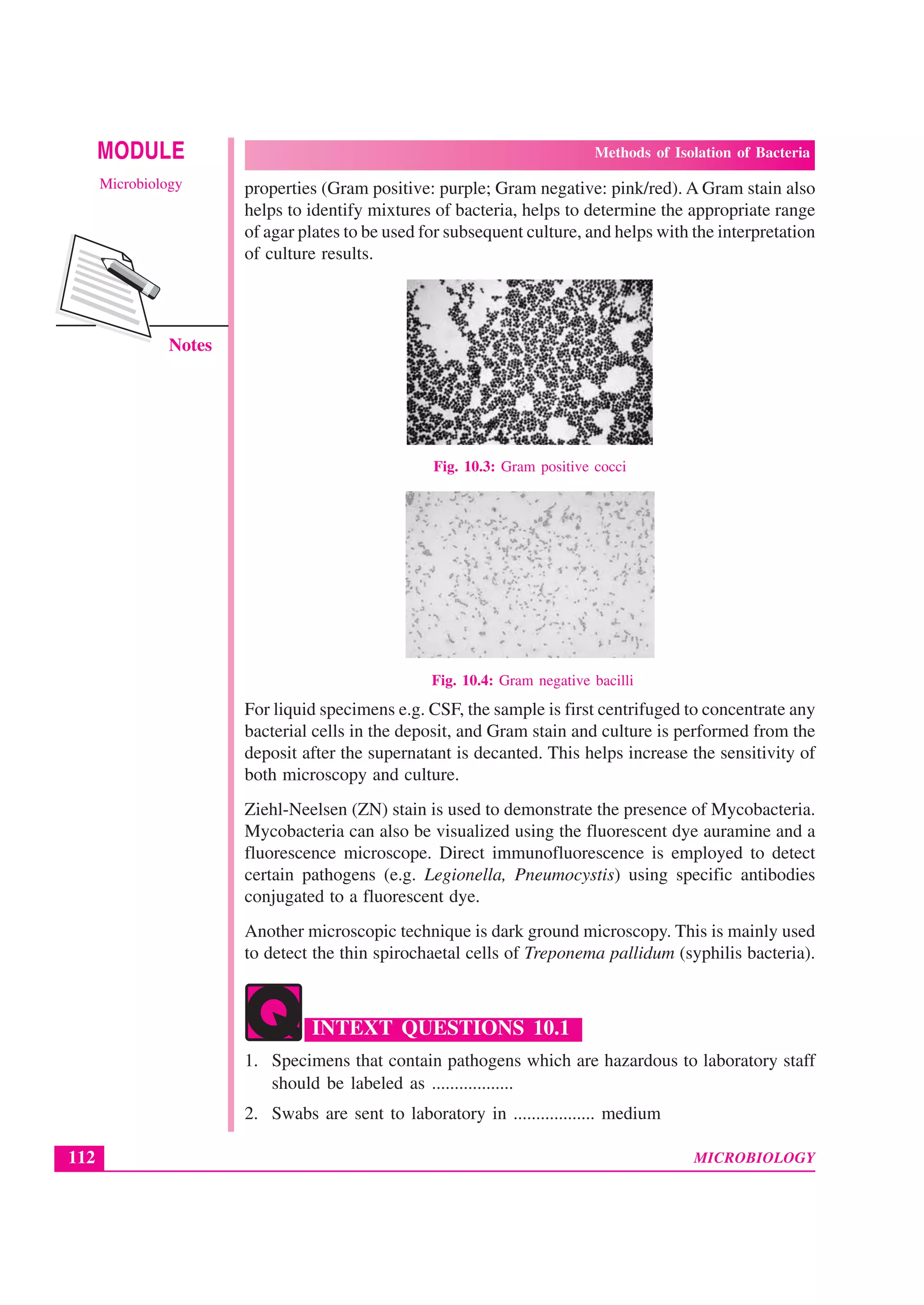 MICROBIOLOGY
MODULE Methods of Isolation of Bacteria
Microbiology
112
Notes
properties (Gram positive: purple; Gram negative: pink/red). A Gram stain also
helps to identify mixtures of bacteria, helps to determine the appropriate range
of agar plates to be used for subsequent culture, and helps with the interpretation
of culture results.
Fig. 10.3: Gram positive cocci
Fig. 10.4: Gram negative bacilli
For liquid specimens e.g. CSF, the sample is first centrifuged to concentrate any
bacterial cells in the deposit, and Gram stain and culture is performed from the
deposit after the supernatant is decanted. This helps increase the sensitivity of
both microscopy and culture.
Ziehl-Neelsen (ZN) stain is used to demonstrate the presence of Mycobacteria.
Mycobacteria can also be visualized using the fluorescent dye auramine and a
fluorescence microscope. Direct immunofluorescence is employed to detect
certain pathogens (e.g. Legionella, Pneumocystis) using specific antibodies
conjugated to a fluorescent dye.
Another microscopic technique is dark ground microscopy. This is mainly used
to detect the thin spirochaetal cells of Treponema pallidum (syphilis bacteria).
INTEXT QUESTIONS 10.1
1. Specimens that contain pathogens which are hazardous to laboratory staff
should be labeled as ..................
2. Swabs are sent to laboratory in .................. medium
 