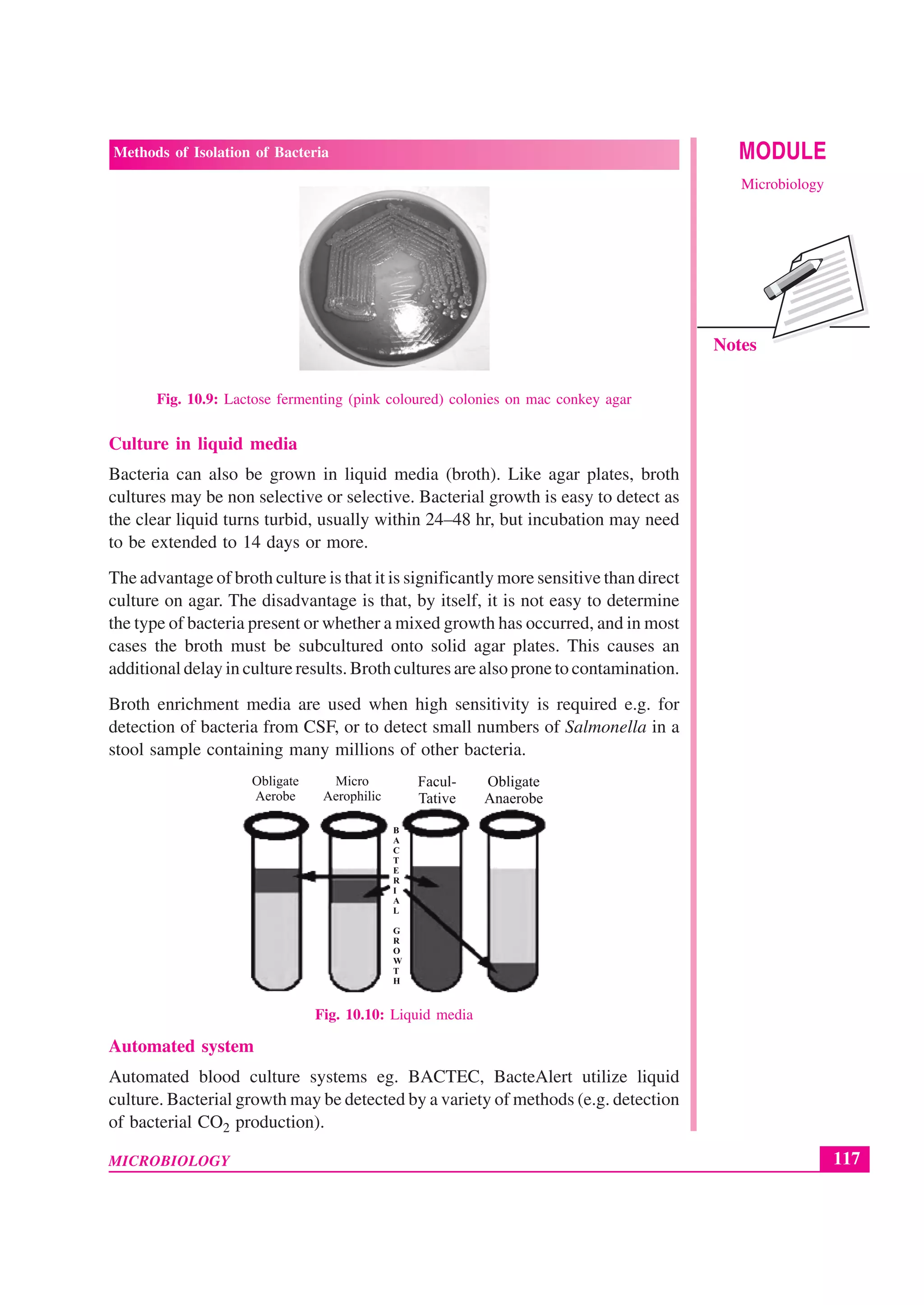 117
Methods of Isolation of Bacteria
MICROBIOLOGY
MODULE
Microbiology
Notes
Fig. 10.9: Lactose fermenting (pink coloured) colonies on mac conkey agar
Culture in liquid media
Bacteria can also be grown in liquid media (broth). Like agar plates, broth
cultures may be non selective or selective. Bacterial growth is easy to detect as
the clear liquid turns turbid, usually within 24–48 hr, but incubation may need
to be extended to 14 days or more.
The advantage of broth culture is that it is significantly more sensitive than direct
culture on agar. The disadvantage is that, by itself, it is not easy to determine
the type of bacteria present or whether a mixed growth has occurred, and in most
cases the broth must be subcultured onto solid agar plates. This causes an
additional delay in culture results. Broth cultures are also prone to contamination.
Broth enrichment media are used when high sensitivity is required e.g. for
detection of bacteria from CSF, or to detect small numbers of Salmonella in a
stool sample containing many millions of other bacteria.
Fig. 10.10: Liquid media
Automated system
Automated blood culture systems eg. BACTEC, BacteAlert utilize liquid
culture. Bacterial growth may be detected by a variety of methods (e.g. detection
of bacterial CO2 production).
 