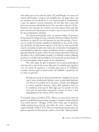 ECONOMIA Y ESTRUCTURA SOCIAL




                más cálida que en la costa sur, sobre el Canal Beagle. Los meses de
                verano (diciembre a marzo) son notables por sus largos días, con
                un máximo de luz desde las 4 a.m. hasta pasada la medianoche
                y por sus ásperos vientos antárticos. En los días más cortos del
                invierno, amanece alrededor de las 10 y anochece sobre las 16 hrs.
                Durante esta estación, los vientos son más calmos. Días soleados
                pero ventosos son frecuentes en verano y aun en invierno hay días
                de una transparente claridad.
                        Sus presas principales eran, en primer lugar, el guanaco
                (Lama guanicoe), luego el zorro colorado (Dusicyon culpaeus lycoides),
                roedores, en especial uno del tamaño de una rata grande, el tucu-
                tucu o cururo (Ctenomys magellanicus fueguinus); y aves, de las cuales
                hay alrededor de doscientas especies en la isla. Las más apetecidas
                eran las avutardas, los patos, los cisnes, los cormoranes, los pingüinos
                y las bandurrias.Además cazaban mamíferos marinos, en particular el
                llamado lobo de un pelo o león de mar (Otaria Byronia), el lobo de
                dos pelos o foca (Arctocephalus australis) y el elefante marino (Mirouga
                leonina). La varadura de una ballena era ocasión de un gran festín en
                el cual participaba toda la gente de los alrededores.
                        No cabe duda de que el guanaco era la presa preferida, la
                más buscada y apreciada como alimento. La palabra jepr signiﬁca
                a la vez carne de guanaco y comida, pues jepr es la verdadera
                comida. Interesa aquí la observación de Gallardo a propósito de
                la carne en general.

                       El indio no usa la sal, desconociendo por completo el uso de
                       este u otro condimento. Siendo carne su principal alimento
                       no nota la necesidad de la sal, pero cuando está obligado
                       a comer vegetales durante varios días seguidos, éstos no
                       lo satisfacen, nota que le falta algo, que no puede ser otra
                       cosa que los principios minerales escasos en éstos y más
                       abundantes en las carnes (1910: 168-169).

                Y Gusinde observa (1982, I: 279): “Nunca se cansa de la carne de
                guanaco, probablemente porque siempre se prepara asados jugosos
                con trozos frescos”. Bridges (1952: 261) relata que el guanaco
                adulto proporciona más de cien kilos de carne y huesos. Pero,
                según Gusinde (1982, I: 277):“Para una familia de seis personas un
                guanaco grande no dura más de cuatro o cinco días”.Aprovechaban


                                                                    36.   Guanaco. Fotografía de Alan Warren.


122
 