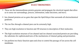 ELECTROSOMES
 These are the transmembrane protein generate and propagate the electrical signals that allow
us to sense our surroundings, process, information, make decisions, and move.
 Ion channel proteins act as gates that span the lipid bilayer that surrounds all electrochemical
gradients.
 The ion flux through a channel pore can be extremely high.
 They are high resolution in function and 3D structure to description of their molecules.
 The high resolution structure of ion channel and ion channel associated protein are providing
the substrates for sophisticated tests of the mechanisms of channel gating and permeation.
 Ion perform two basic function open and close to control the passage of ion across the cell
membrane.
 