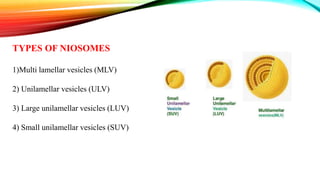 TYPES OF NIOSOMES
1)Multi lamellar vesicles (MLV)
2) Unilamellar vesicles (ULV)
3) Large unilamellar vesicles (LUV)
4) Small unilamellar vesicles (SUV)
 