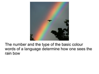 The number and the type of the basic colour
words of a language determine how one sees the
rain bow
 