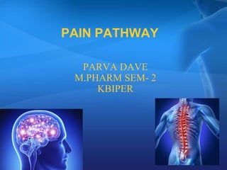 PAIN PATHWAY
PARVA DAVE
M.PHARM SEM- 2
KBIPER
 
