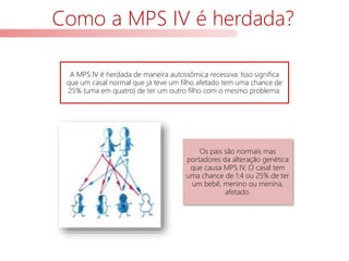 Como a MPS IV é herdada?
A MPS IV é herdada de maneira autossômica recessiva. Isso significa
que um casal normal que já teve um filho afetado tem uma chance de
25% (uma em quatro) de ter um outro filho com o mesmo problema.
Os pais são normais mas
portadores da alteração genética
que causa MPS IV. O casal tem
uma chance de 1:4 ou 25% de ter
um bebê, menino ou menina,
afetado.
 