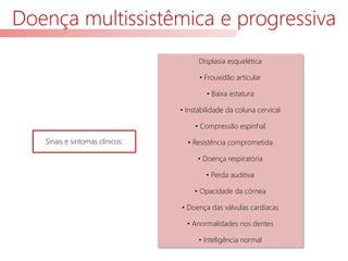 Doença multissistêmica e progressiva
Sinais e sintomas clínicos:
Displasia esquelética
• Frouxidão articular
• Baixa estatura
• Instabilidade da coluna cervical
• Compressão espinhal
• Resistência comprometida
• Doença respiratória
• Perda auditiva
• Opacidade da córnea
• Doença das válvulas cardíacas
• Anormalidades nos dentes
• Inteligência normal
 