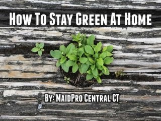 How To Stay Green At Home
By: MaidPro Central CT
 