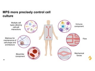 `
MPS more precisely control cell
culture
25
Multiple cell
types allowing
cell-cell
interactions
Matrices for
maintenance ...