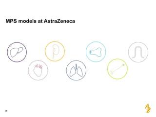 MPS models at AstraZeneca
28
 