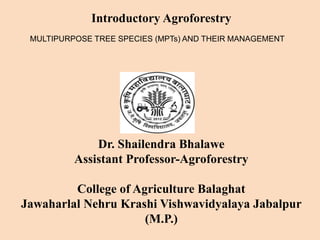 MPTs Multipurpose trees.pptx