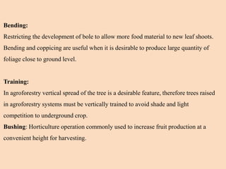 Bending:
Restricting the development of bole to allow more food material to new leaf shoots.
Bending and coppicing are useful when it is desirable to produce large quantity of
foliage close to ground level.
Training:
In agroforestry vertical spread of the tree is a desirable feature, therefore trees raised
in agroforestry systems must be vertically trained to avoid shade and light
competition to underground crop.
Bushing: Horticulture operation commonly used to increase fruit production at a
convenient height for harvesting.
 