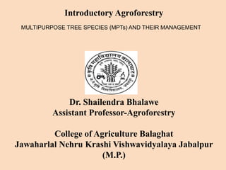 Introductory Agroforestry
Dr. Shailendra Bhalawe
Assistant Professor-Agroforestry
College of Agriculture Balaghat
Jawaharlal Nehru Krashi Vishwavidyalaya Jabalpur
(M.P.)
MULTIPURPOSE TREE SPECIES (MPTs) AND THEIR MANAGEMENT
 