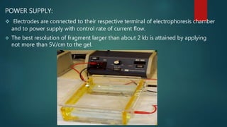 POWER SUPPLY:
 Electrodes are connected to their respective terminal of electrophoresis chamber
and to power supply with control rate of current flow.
 The best resolution of fragment larger than about 2 kb is attained by applying
not more than 5V/cm to the gel.
 