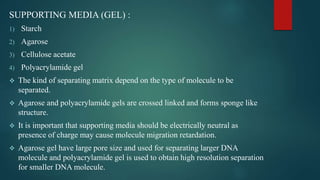SUPPORTING MEDIA (GEL) :
1) Starch
2) Agarose
3) Cellulose acetate
4) Polyacrylamide gel
 The kind of separating matrix depend on the type of molecule to be
separated.
 Agarose and polyacrylamide gels are crossed linked and forms sponge like
structure.
 It is important that supporting media should be electrically neutral as
presence of charge may cause molecule migration retardation.
 Agarose gel have large pore size and used for separating larger DNA
molecule and polyacrylamide gel is used to obtain high resolution separation
for smaller DNA molecule.
 