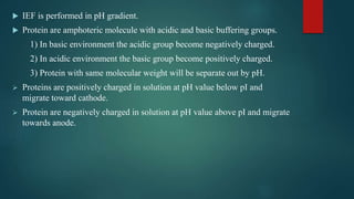  IEF is performed in pH gradient.
 Protein are amphoteric molecule with acidic and basic buffering groups.
1) In basic environment the acidic group become negatively charged.
2) In acidic environment the basic group become positively charged.
3) Protein with same molecular weight will be separate out by pH.
 Proteins are positively charged in solution at pH value below pI and
migrate toward cathode.
 Protein are negatively charged in solution at pH value above pI and migrate
towards anode.
 