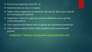  Protein stop migrating when pH= pI .
 Stained protein are easy to visualize.
 Highly stable ampholytes are molecule with specific pKa to give specific
and unchanging pH gradient.
 Separation is obtain by applying a potential difference across gel that
contain pH gradient.
 They required solid support such as agarose gel and polyacrylamide gel.
 They contain synthetic buffer called ampholyte that smooth the pH
gradient.
Ampholyte= Mixture of polyamino-polycarboxylic acid
 