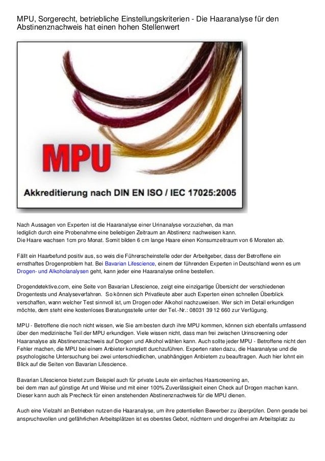 Mpu Sorgerecht Betriebliche Einstellungskriterien Die Haaranalyse