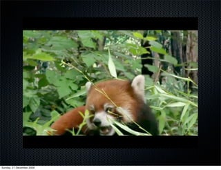 Sunday, 27 December 2009
 