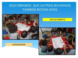 DESCOBRIMOS QUE OUTROS BICHINHOS
TAMBÉM BOTAM OVOS
CURIOSIDADE
ENVOLVIMENTO
 