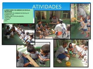 ATIVIDADESALIMENTANDO OS ANIMAIS DA ESCOLA:
OBJETIVOS:
•CONHECER OS ANIMAIS DA ESCOLA E
ALIMENTÁ-LOS;
•TRABALHAR A SOCIALIZAÇÃO;
•TEXTURA;
•CORES;
•ETC.
 
