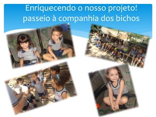 Enriquecendo o nosso projeto!
passeio à companhia dos bichos
 