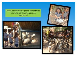 Tocar nos animais e poder alimentá-los
foi muito significativo para os
pequenos!
 