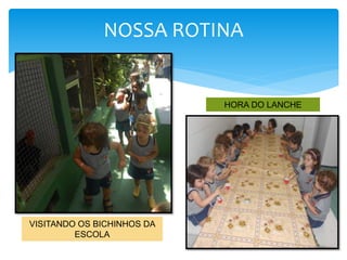 NOSSA ROTINA
VISITANDO OS BICHINHOS DA
ESCOLA
HORA DO LANCHE
 