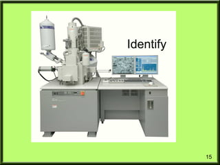 15
Identify
 