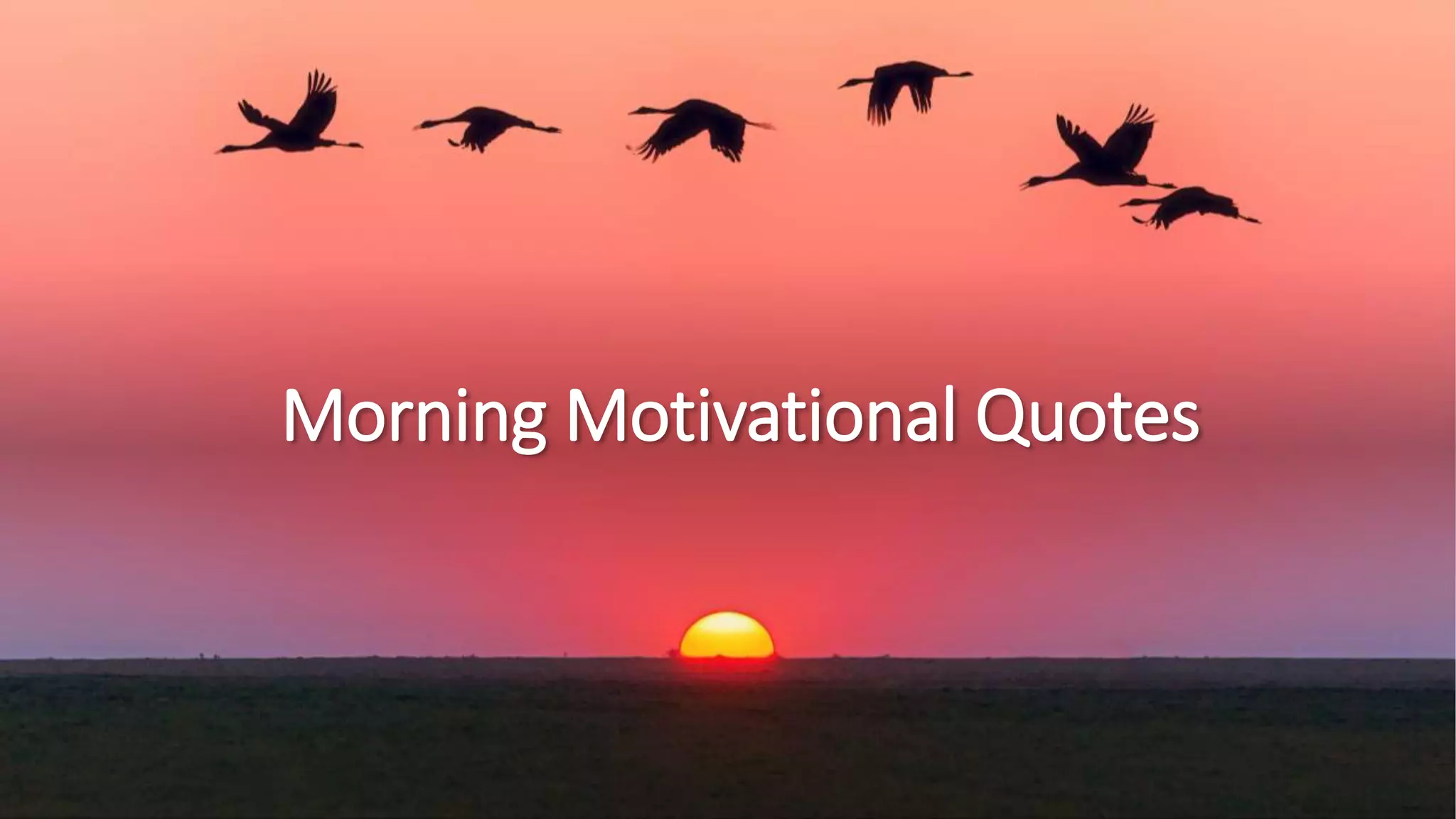 Morning Motivational Quotes