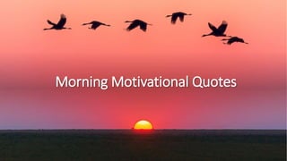 Morning Motivational Quotes
 
