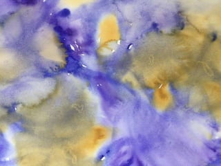 Paula Dawson – The Flying Colours Project