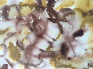 Paula Dawson – The Flying Colours Project