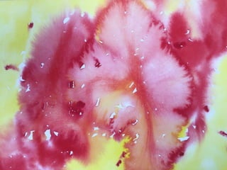 Paula Dawson – The Flying Colours Project