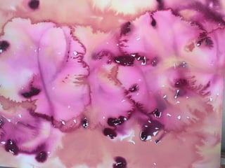 Paula Dawson – The Flying Colours Project