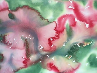 Paula Dawson – The Flying Colours Project