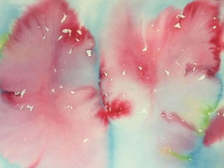 Paula Dawson – The Flying Colours Project