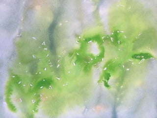 Paula Dawson – The Flying Colours Project