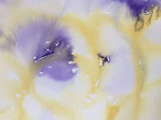 Paula Dawson – The Flying Colours Project