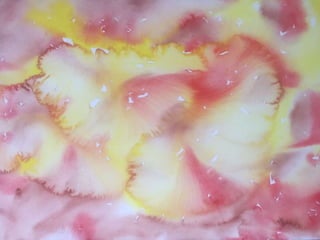 Paula Dawson – The Flying Colours Project