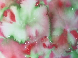 Paula Dawson – The Flying Colours Project