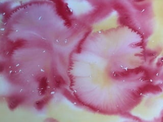 Paula Dawson – The Flying Colours Project