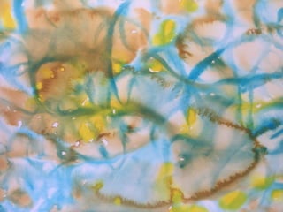 Paula Dawson – The Flying Colours Project