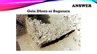 Gola Dhoro or Bagasara
ANSWER
 