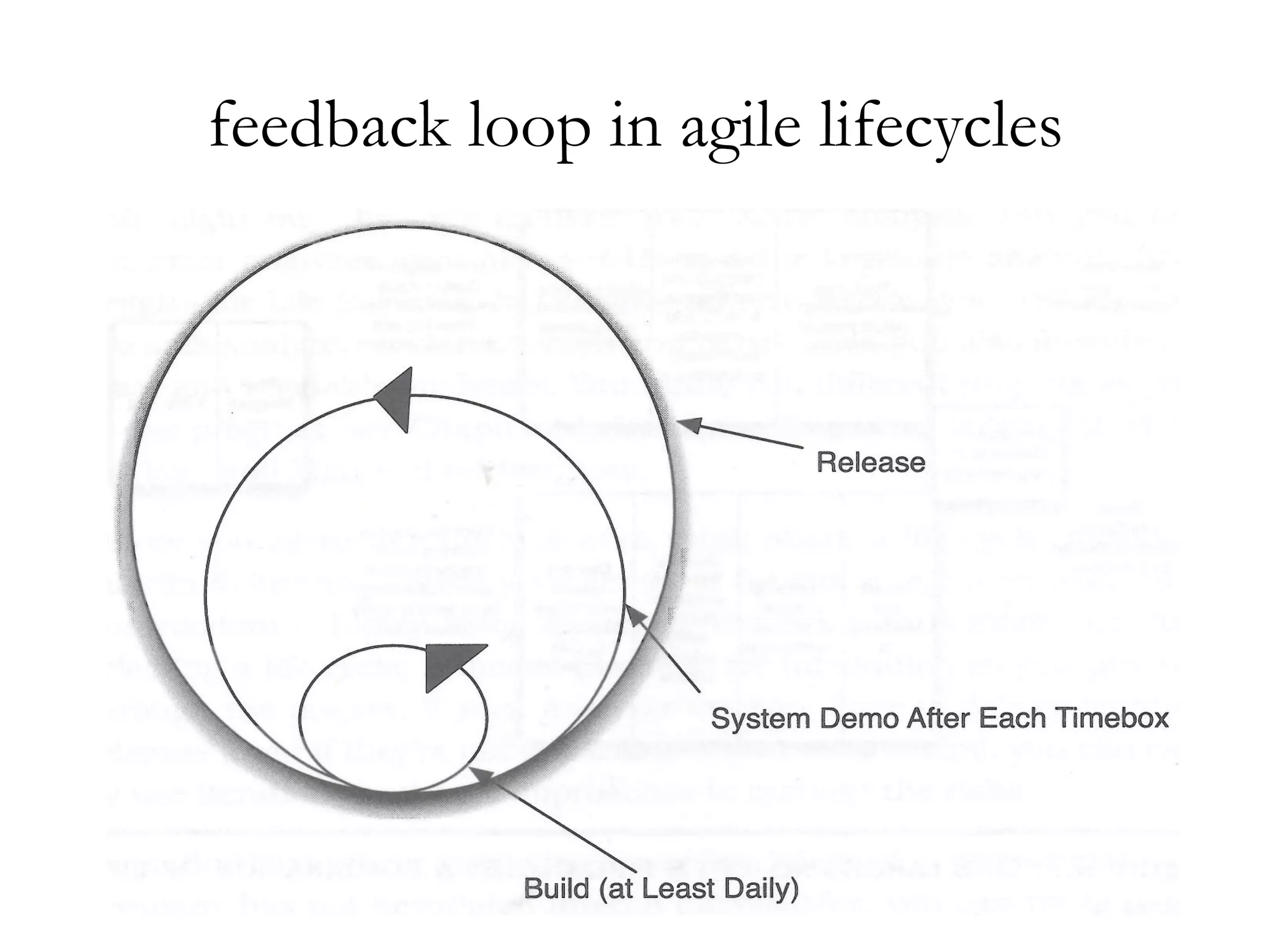 feedback loop in agile lifecycles 
 