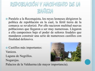  Paralelo a la Reconquista, los reyes leoneses dirigieron la 
política de repoblación en la cual, la fértil tierra de la 
comarca se revalorizó. Por ello nacieron multitud nuevas 
poblaciones que llegaron a ser muy numerosas. Llegaron 
a ella campesinos bajo el poder de señores feudales que 
mandaron construir una serie de numerosos castillos con 
finalidad defensiva. 
 Castillos más importantes: 
Vanieza. 
Laguna de Negrillos. 
Nogarejas. 
Palacios de la Valduerna (de mayor importancia). 
 