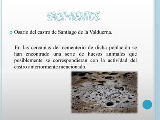  Osario del castro de Santiago de la Valduerna. 
En las cercanías del cementerio de dicha población se 
han encontrado una serie de huesos animales que 
posiblemente se correspondieran con la actividad del 
castro anteriormente mencionado. 
 
