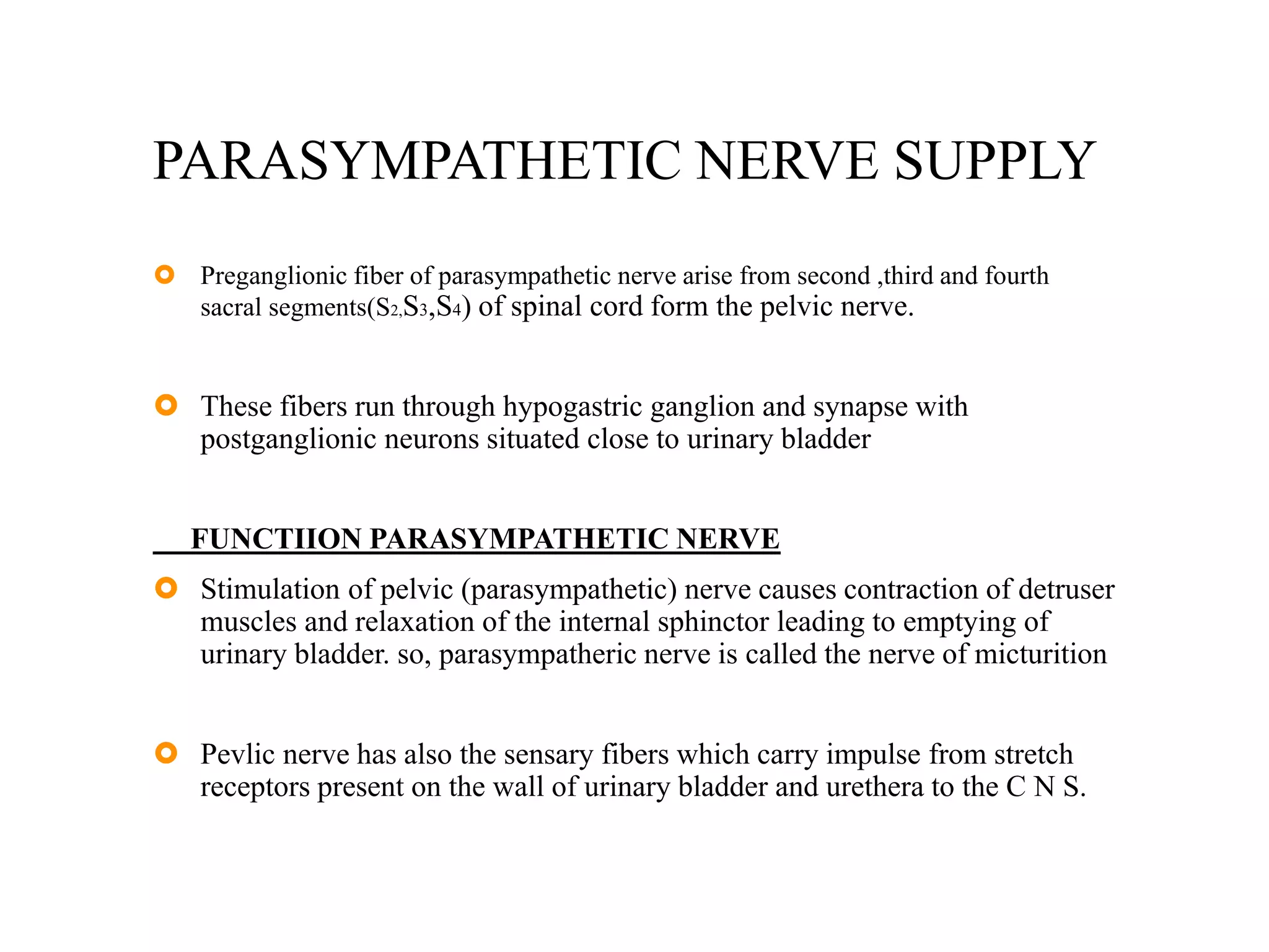 PARASYMPATHETIC NERVE SUPPLY
 Preganglionic fiber of parasympathetic nerve arise from second ,third and fourth
sacral segments(S2,S3,S4) of spinal cord form the pelvic nerve.
 These fibers run through hypogastric ganglion and synapse with
postganglionic neurons situated close to urinary bladder
FUNCTIION PARASYMPATHETIC NERVE
 Stimulation of pelvic (parasympathetic) nerve causes contraction of detruser
muscles and relaxation of the internal sphinctor leading to emptying of
urinary bladder. so, parasympatheric nerve is called the nerve of micturition
 Pevlic nerve has also the sensary fibers which carry impulse from stretch
receptors present on the wall of urinary bladder and urethera to the C N S.
 