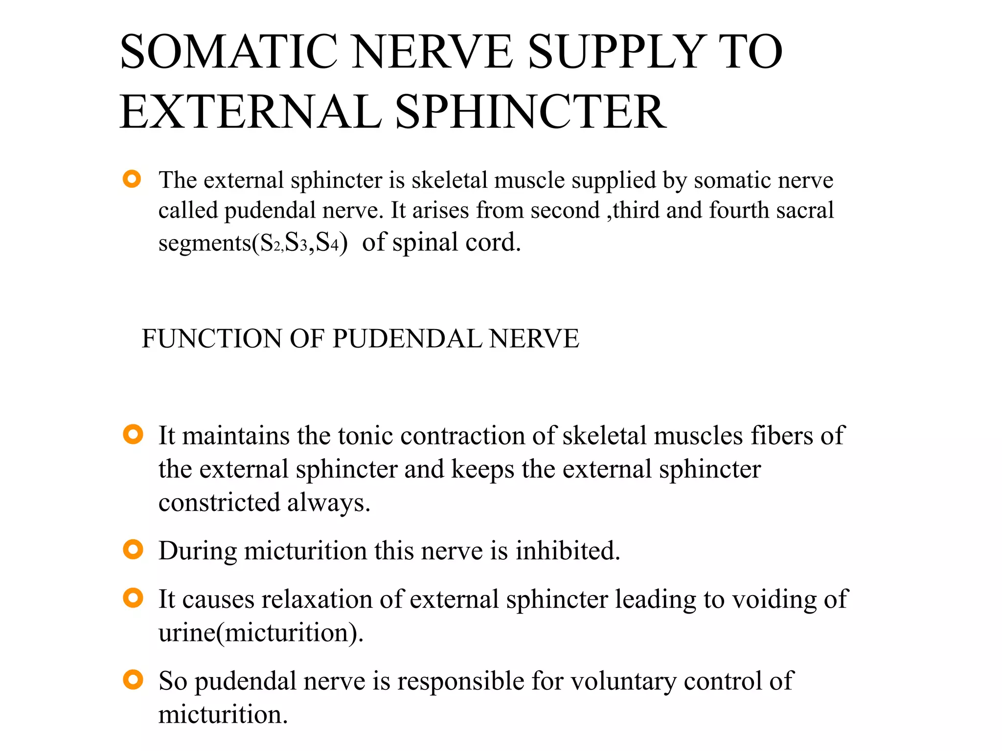 SOMATIC NERVE SUPPLY TO
EXTERNAL SPHINCTER
 The external sphincter is skeletal muscle supplied by somatic nerve
called pudendal nerve. It arises from second ,third and fourth sacral
segments(S2,S3,S4) of spinal cord.
FUNCTION OF PUDENDAL NERVE
 It maintains the tonic contraction of skeletal muscles fibers of
the external sphincter and keeps the external sphincter
constricted always.
 During micturition this nerve is inhibited.
 It causes relaxation of external sphincter leading to voiding of
urine(micturition).
 So pudendal nerve is responsible for voluntary control of
micturition.
 